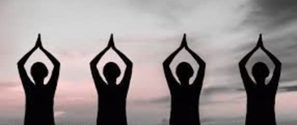 New Hatha Yoga Class